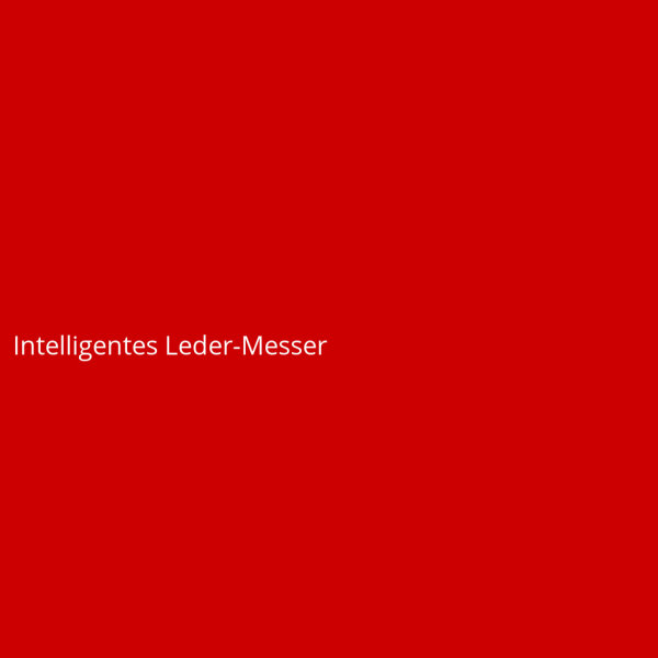 Intelligentes Leder-Messer